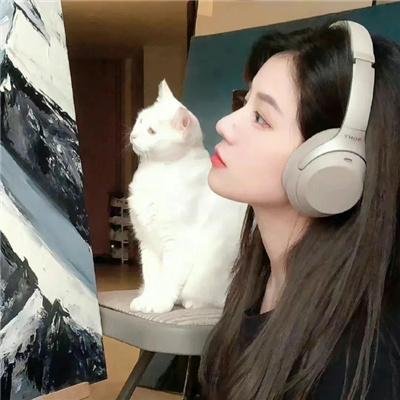 银杏折柳·终章海报
